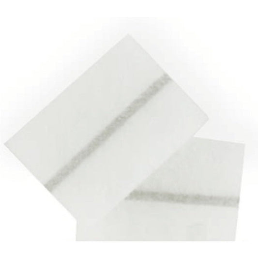 Fisher & Paykel Air Filter for SleepStyle APAP Machine 2-Pack